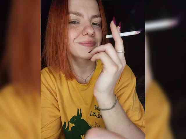AliceRabbit webcam