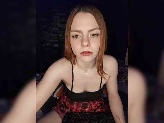 AliceRabbit webcam