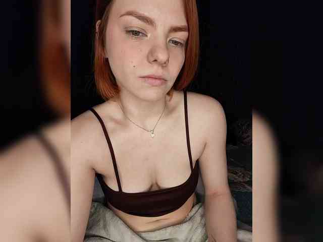 AliceRabbit webcam