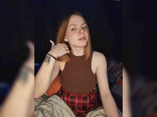 AliceRabbit webcam