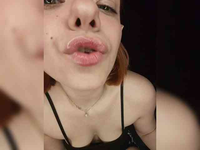 AliceRabbit webcam