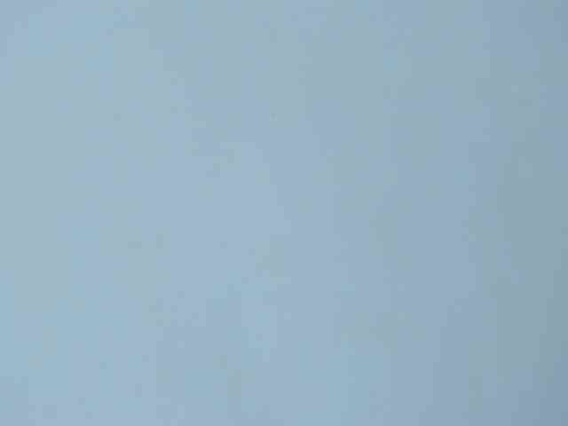 petiteamor webcam