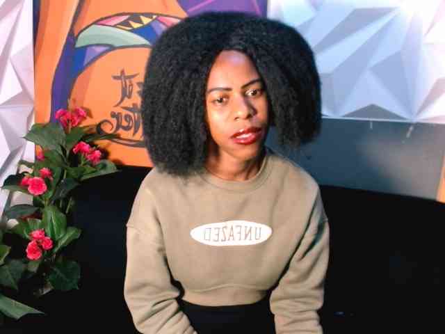 Ebonystorm webcam