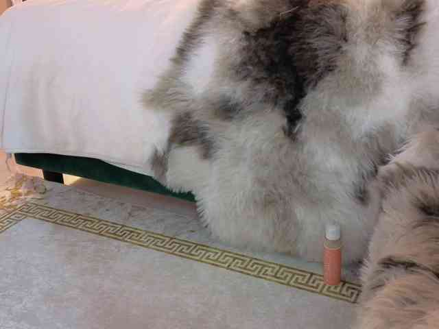 Joanneshyshy Joanneshyshy