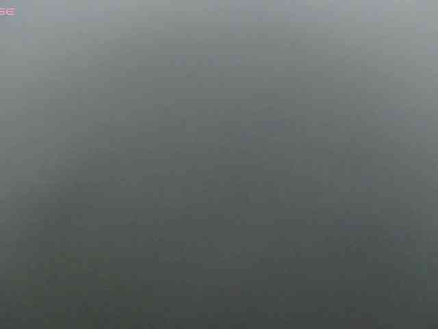 sofia-cooper Live Webcam on BongaCams