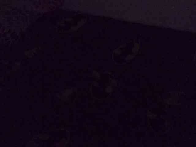 Slimsexy webcam