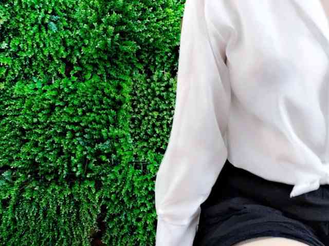 Nary-tran webcam
