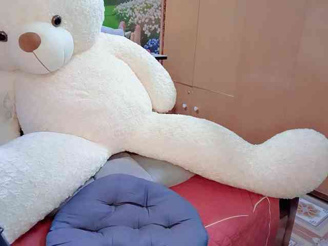 Nary-tran webcam