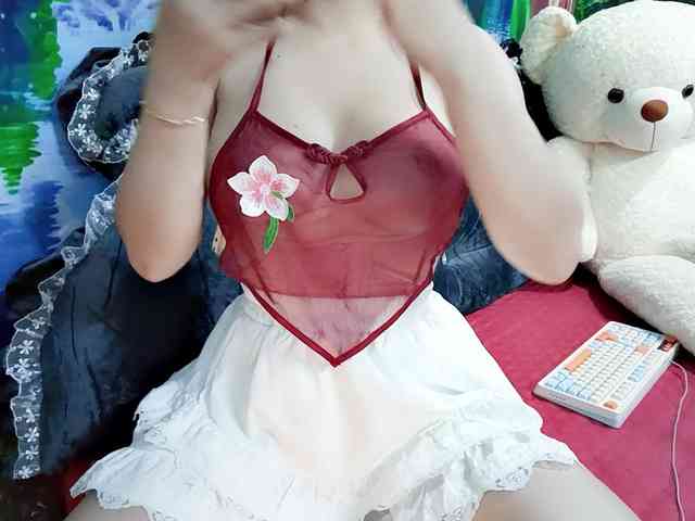 Nary-tran webcam