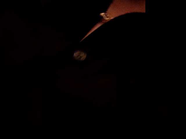 AleksaBalan's BongaCams show and profile