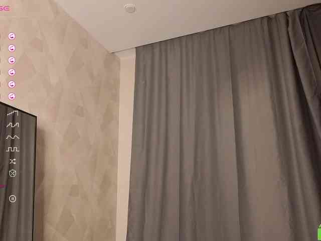 palmersunny webcam