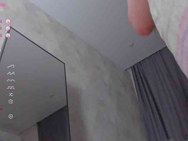 palmersunny webcam