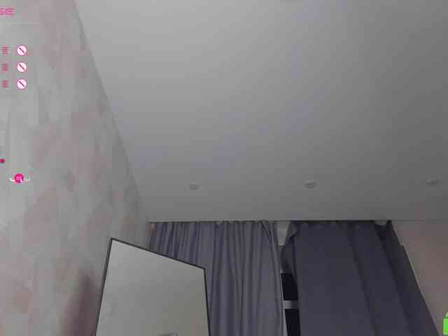 palmersunny webcam