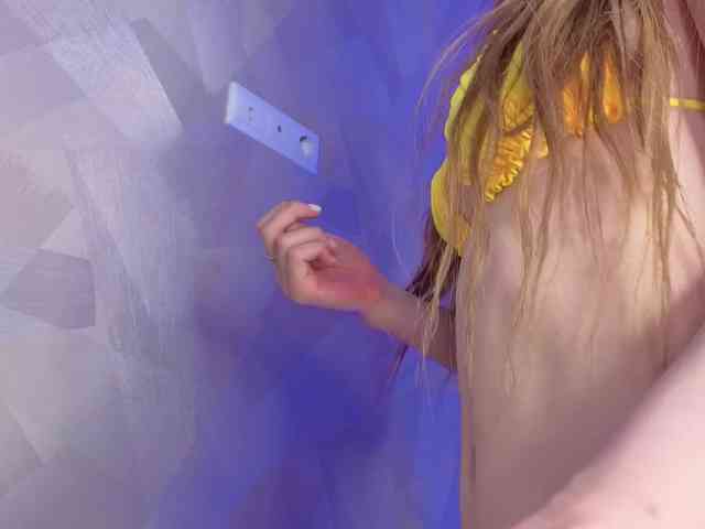 palmersunny webcam