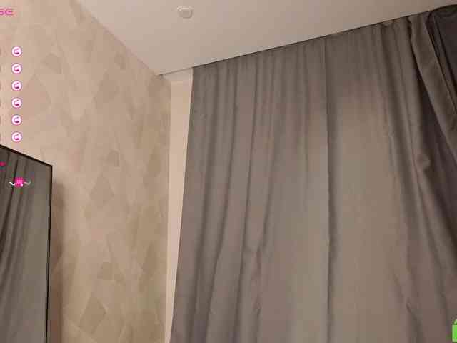 palmersunny webcam