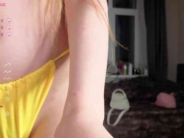 palmersunny webcam