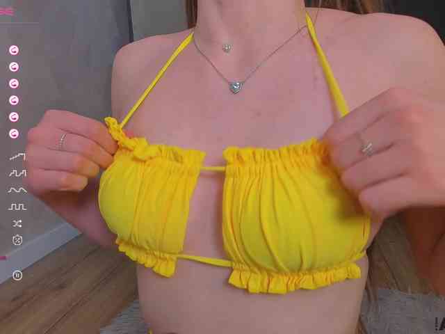 palmersunny webcam