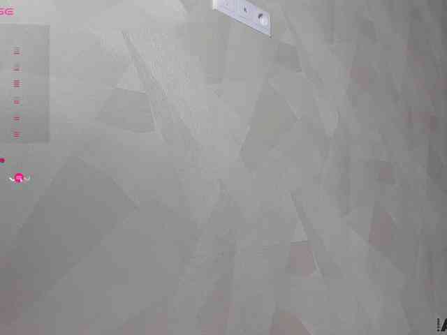 palmersunny webcam