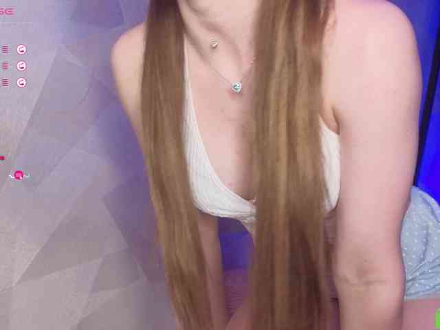 palmersunny webcam