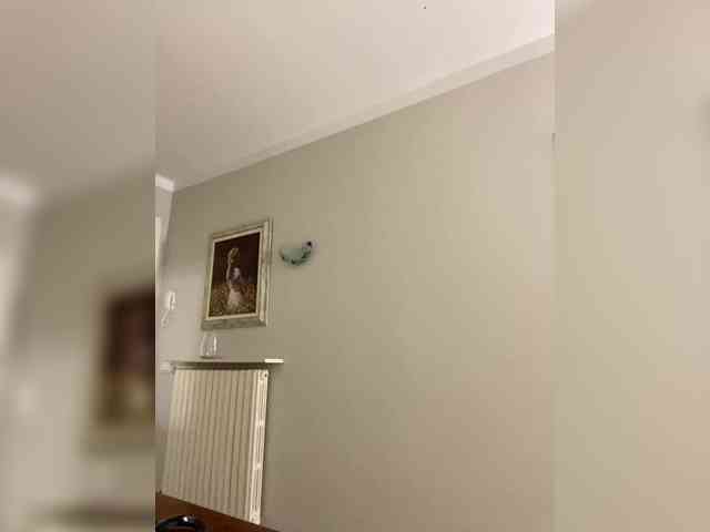 MissKarolin webcam