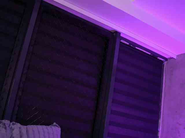 IvyRowa webcam