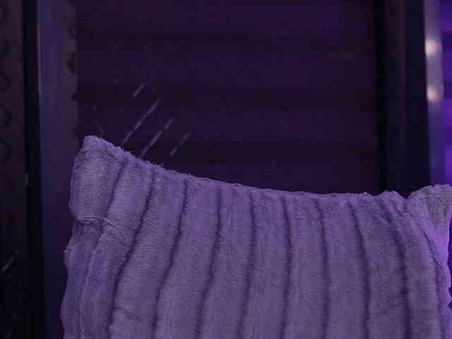 IvyRowa webcam