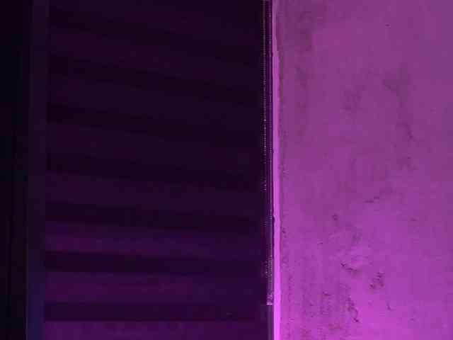IvyRowa webcam