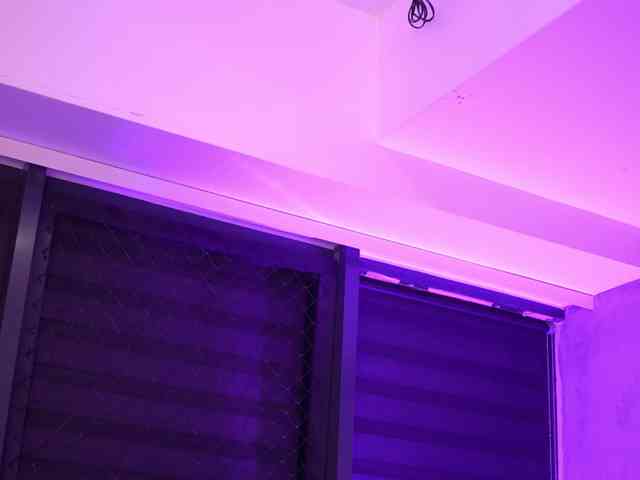 IvyRowa Live Webcam on BongaCams