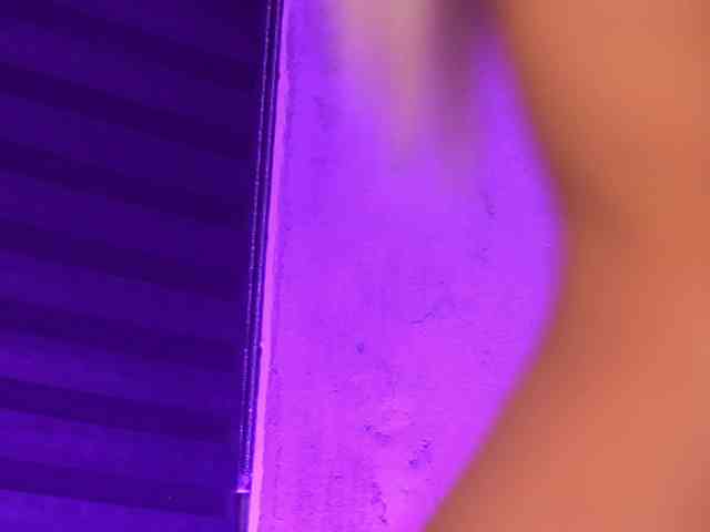 IvyRowa webcam