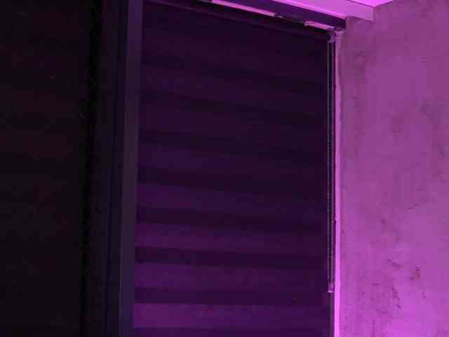 IvyRowa webcam
