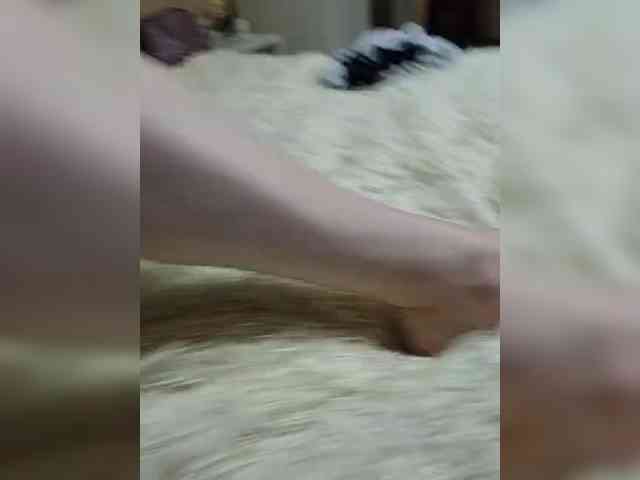 Love_is_life_2025 webcam