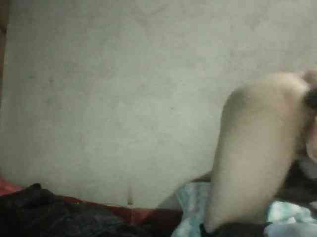 Sexy-ladyass89 Sexy-ladyass89