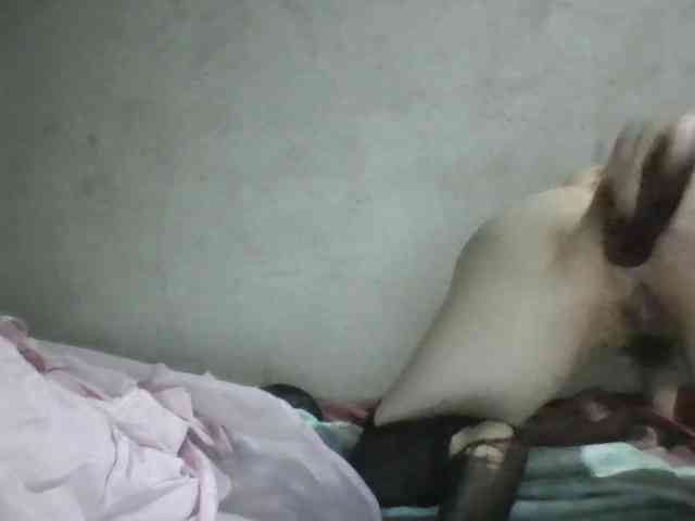 Sexy-ladyass89 Sexy-ladyass89