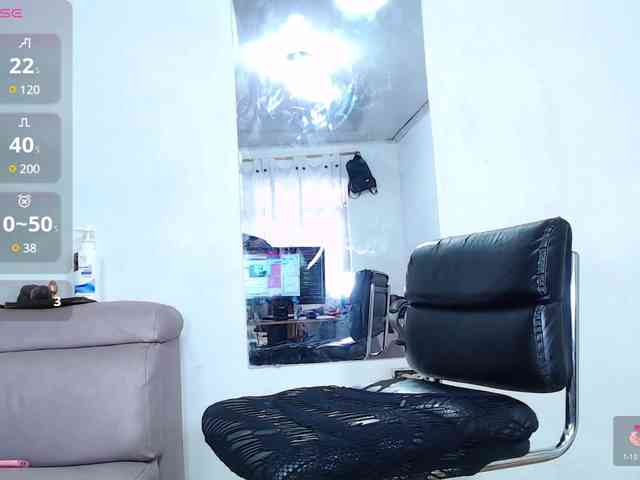 meiryn webcam