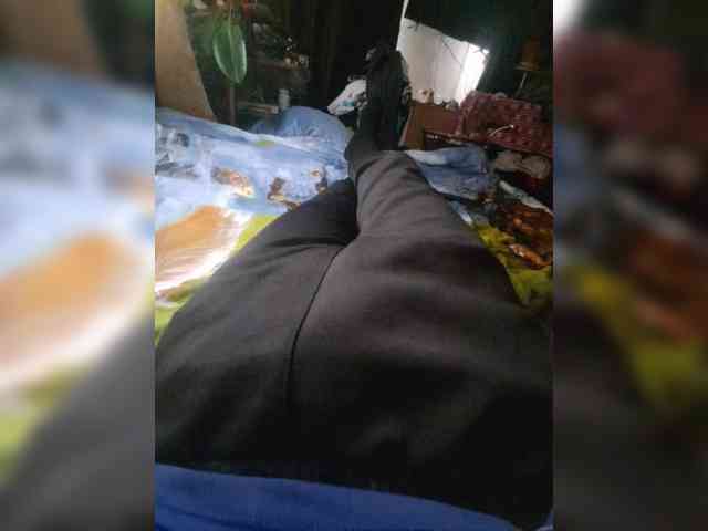 pro100dimas1
