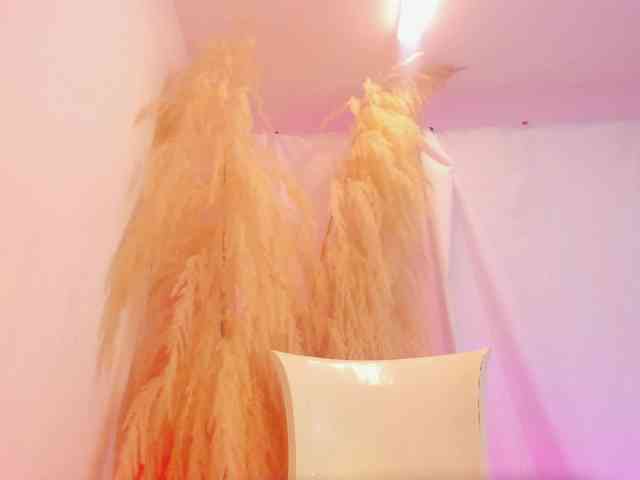Nanami2 webcam