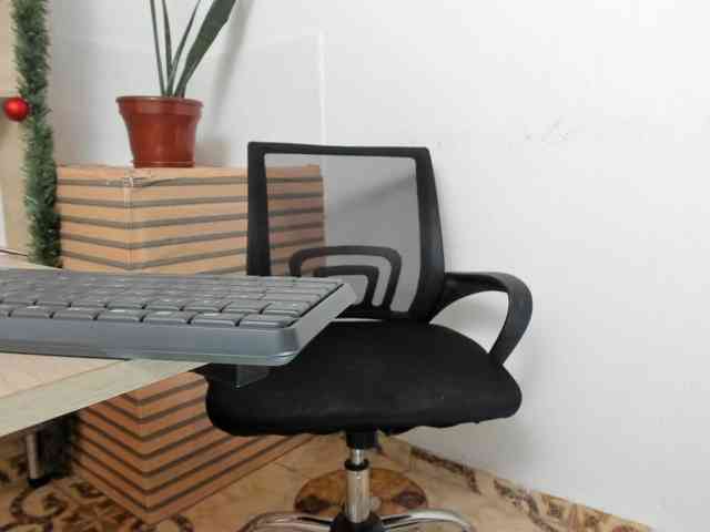 merlinaa-adams webcam