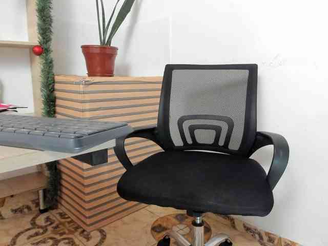 merlinaa-adams webcam