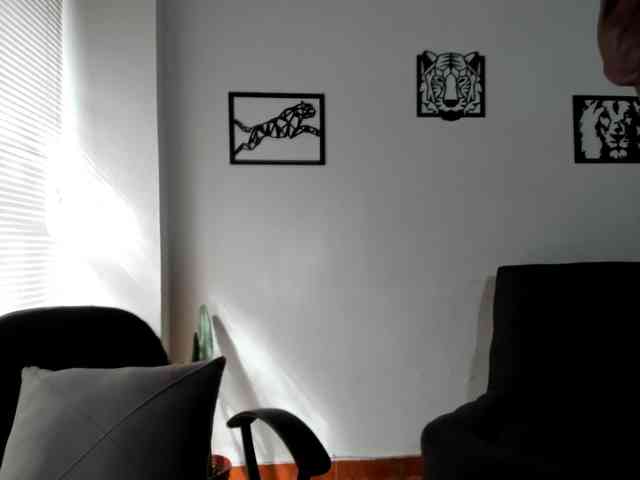 merlinaa-adams webcam