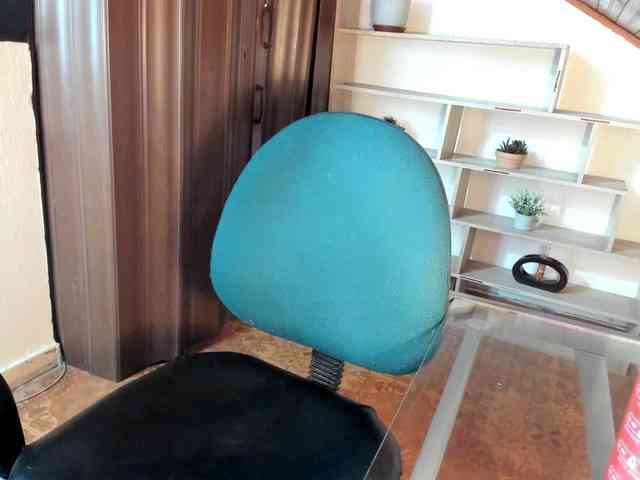 merlinaa-adams webcam