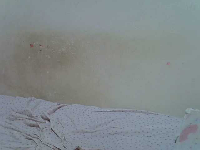 ebonychocolate Live Cam on BongaCams