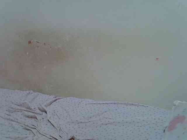 ebonychocolate webcam