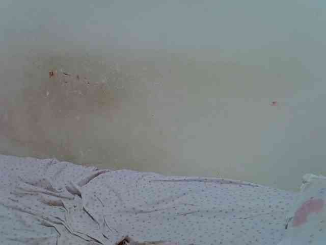 ebonychocolate webcam