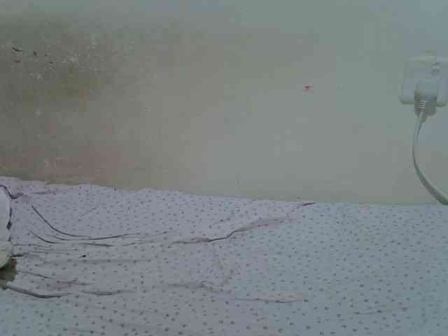 ebonychocolate webcam