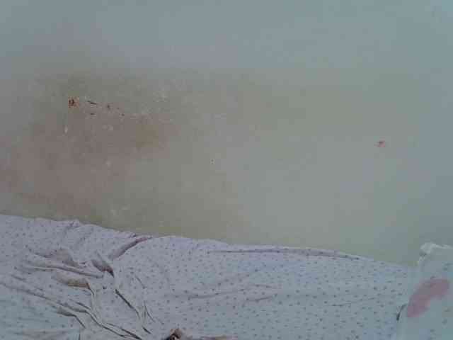 ebonychocolate webcam