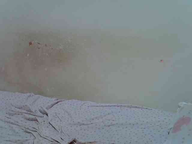 ebonychocolate webcam