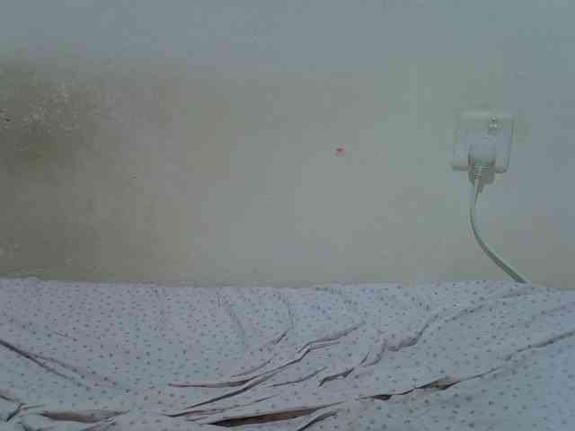 ebonychocolate webcam