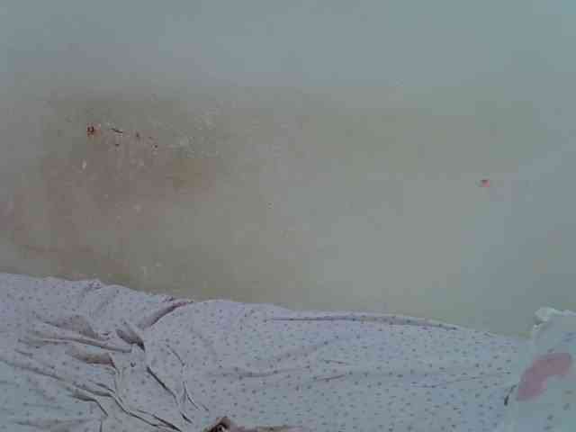 ebonychocolate webcam