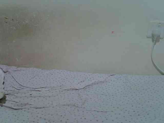 ebonychocolate webcam