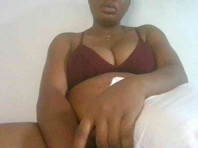 EniBims webcam
